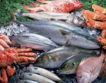 О качестве и безопасности рыбной продукции, находящейся в обороте на территории Пышминского городского округа